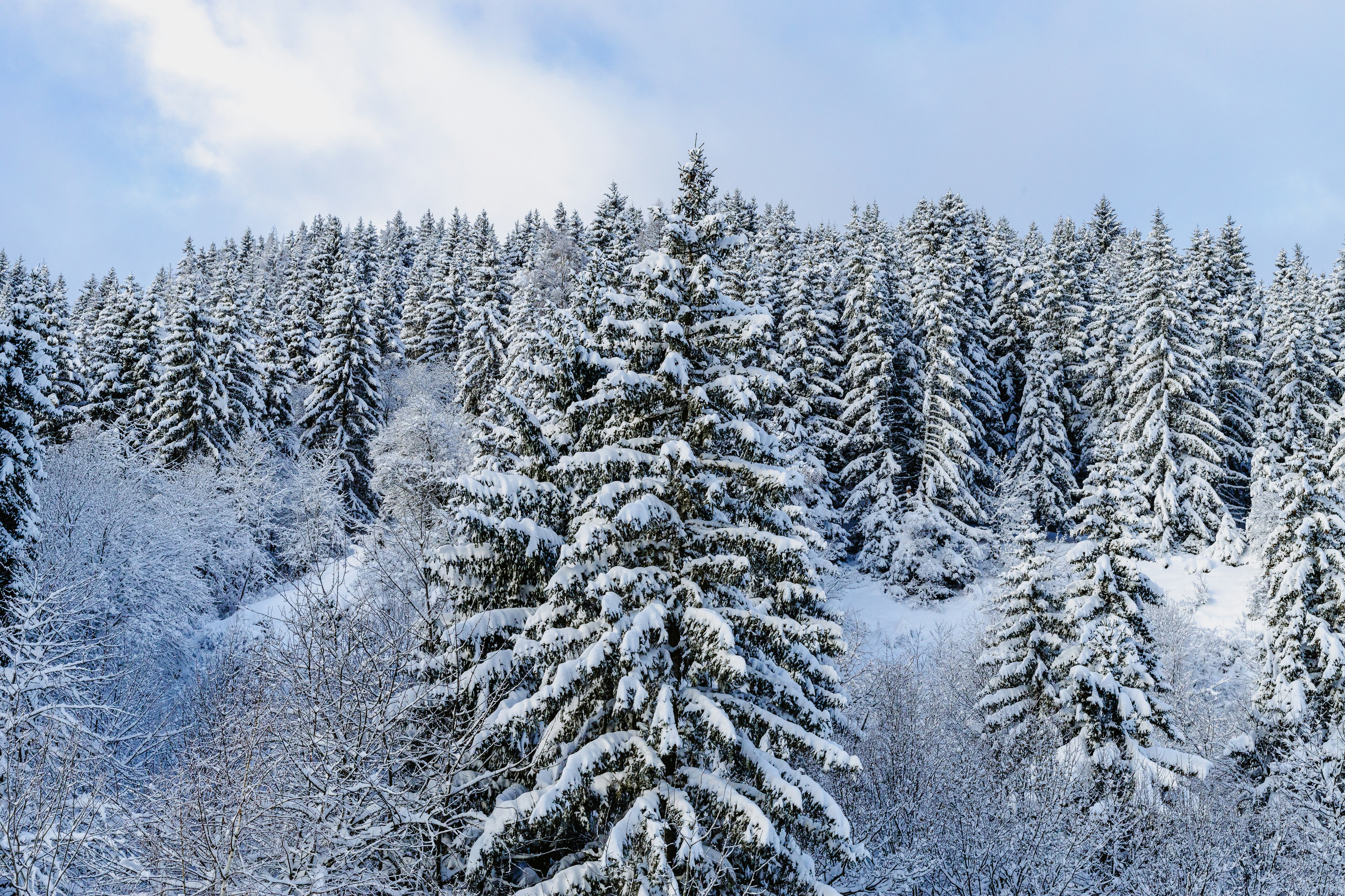 La Tania photo 1