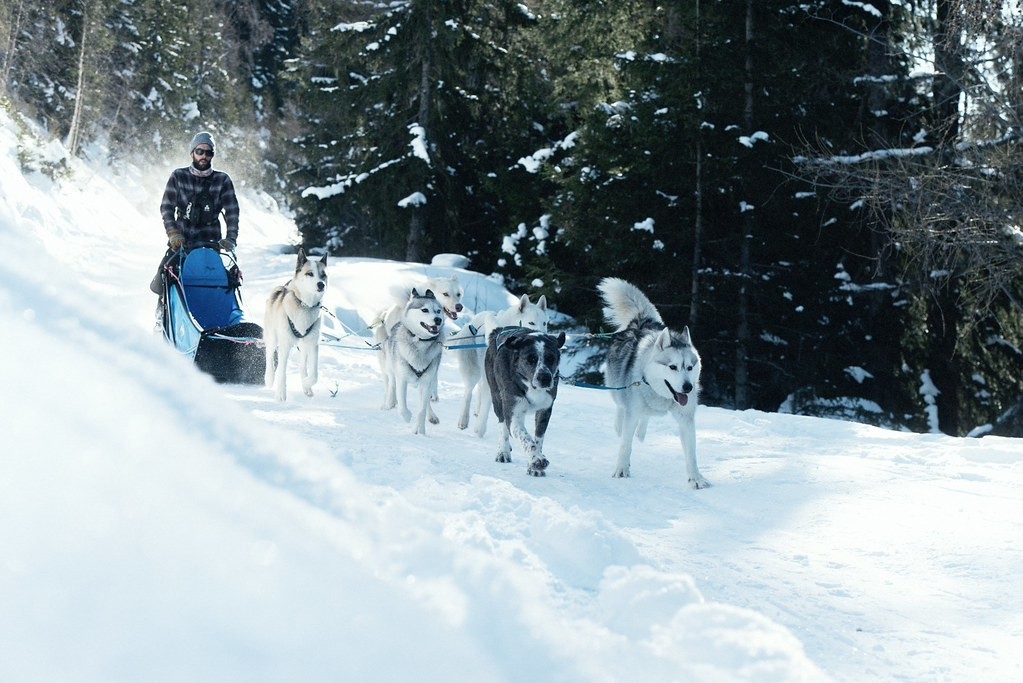Sainte-Foy-Tarentaise photo 5