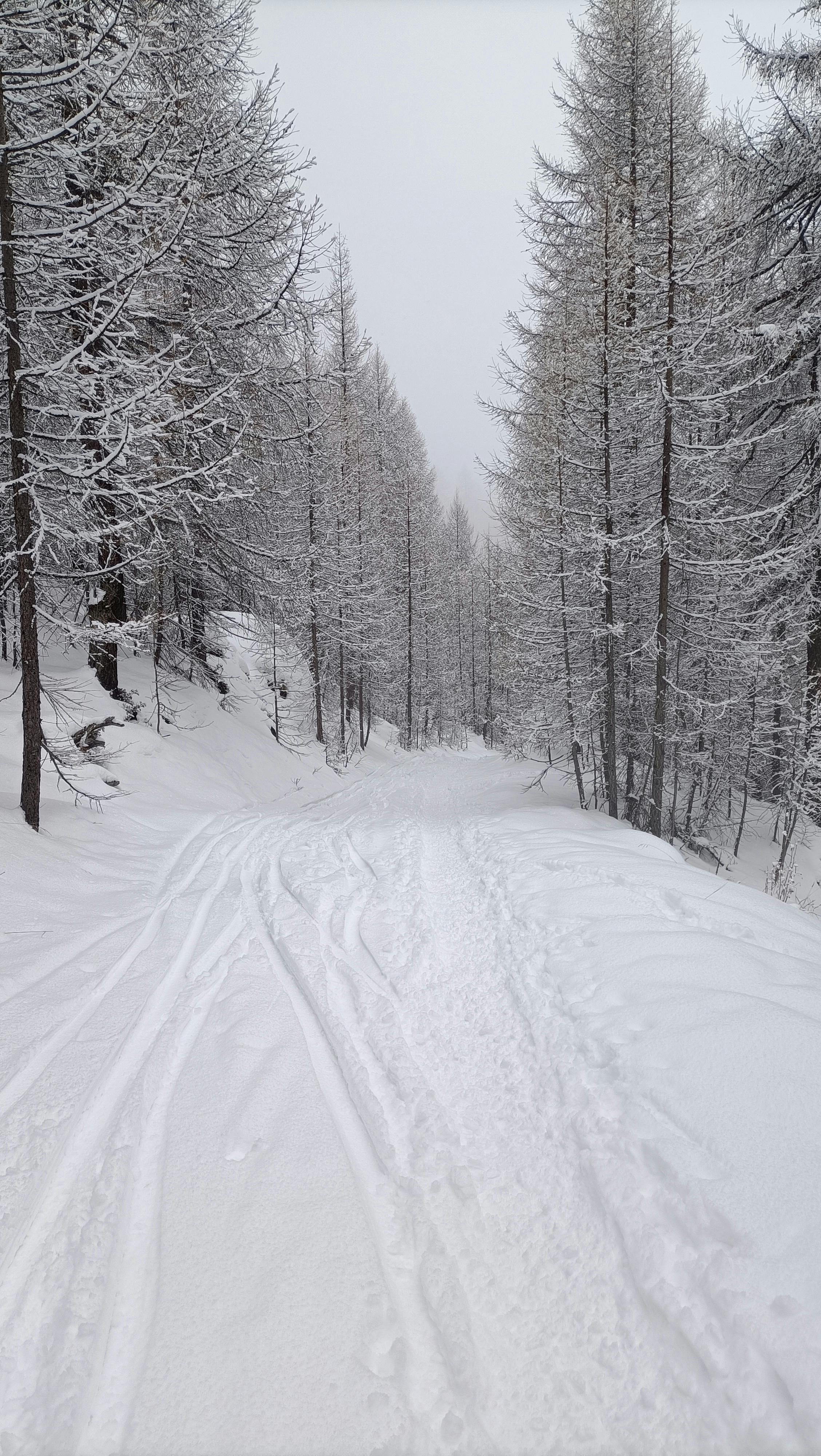 Vars